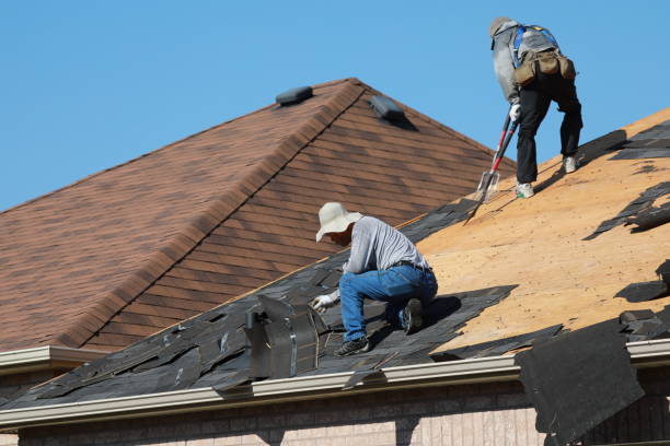 Best Roof Ventilation Installation  in South Berwick, ME